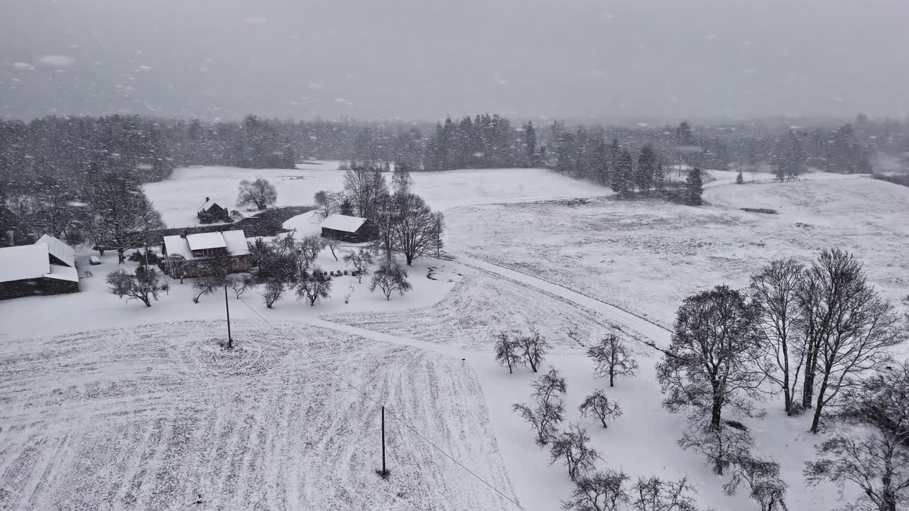 heavy snowfall covering trees, houses, and fields in Cēsis. Latvia