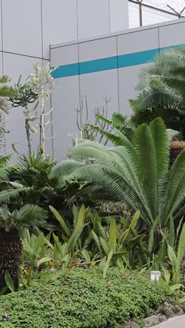 time-lapse de un exuberante jardín tropical en evolución