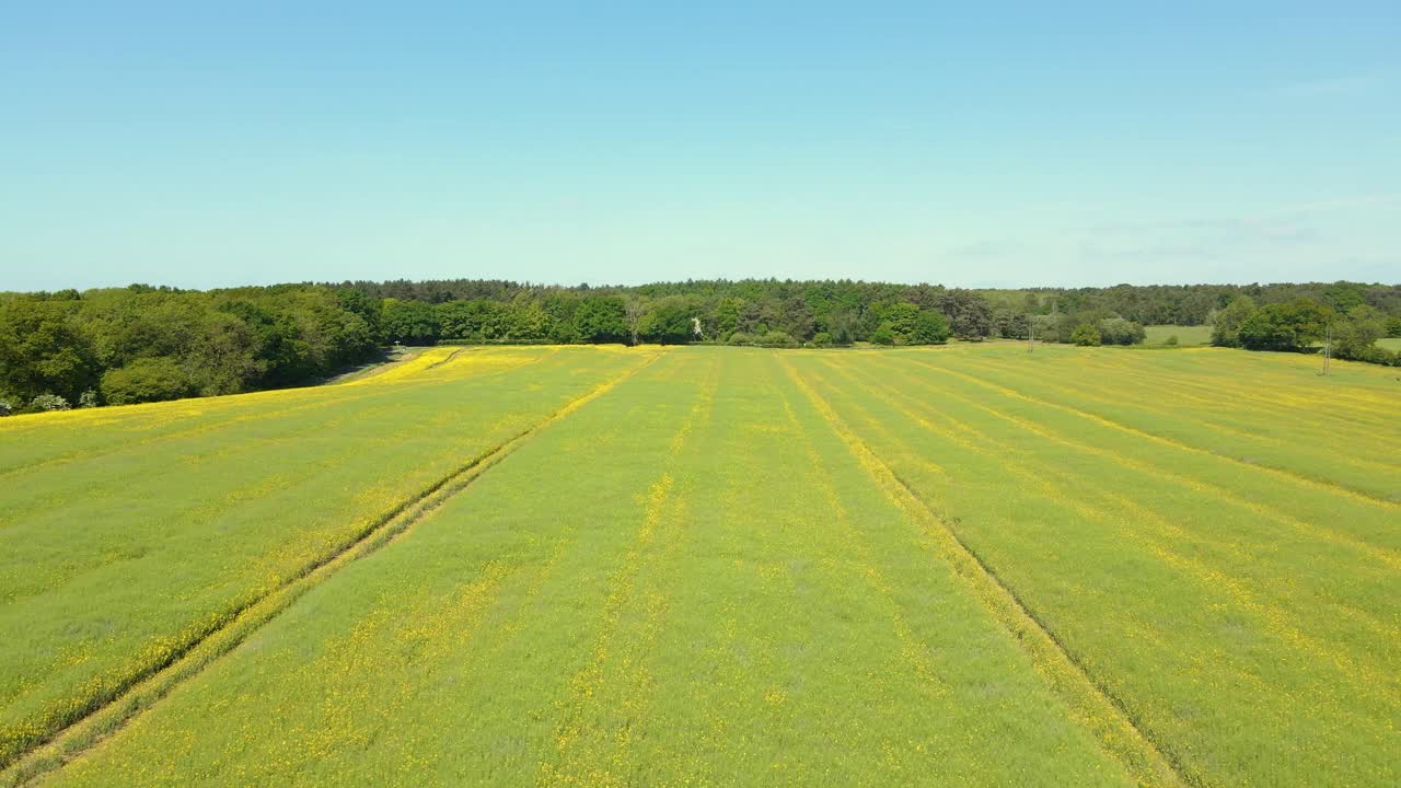 Drone footage of the beautiful British fields in the summer