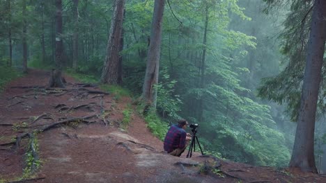 fotógrafo en el bosque de niebla