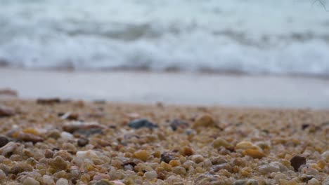 focus on the foreground, a low-angle view of eroded seashells laying on the beach sand as calm tide sea waves can be seen in the background