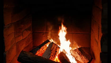 cozy fireplace with burning logs