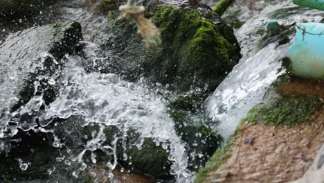 el agua corre a través de un sistema de drenaje de musgo, creando salpicaduras y movimiento. la iluminación natural destaca las algas verdes y el agua que fluye