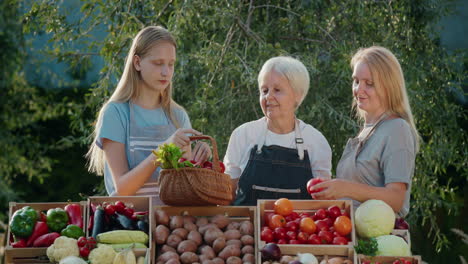 una familia de agricultores en el mostrador de una feria agrícola. verduras locales en el mostrado