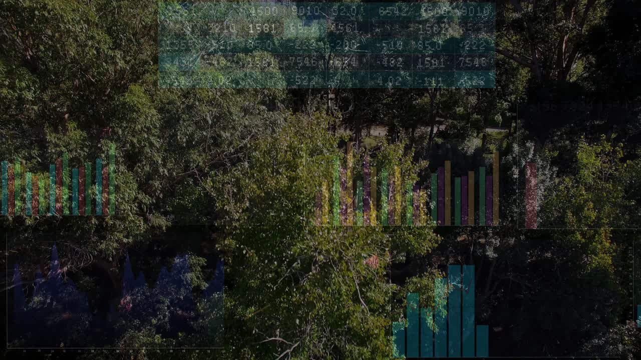 Drone panning down, canopy revealing lawn while charts shifting, showing park data and person