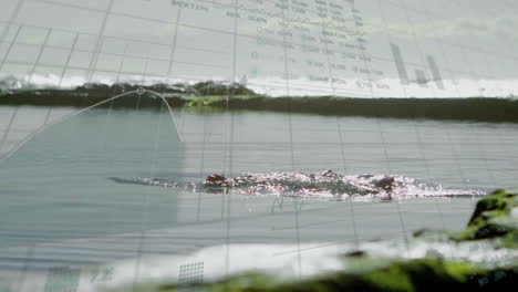 overlaying graph data and animation on serene river landscape with water reflections