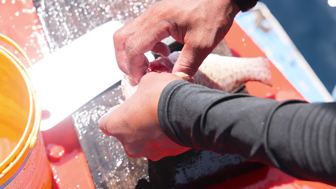 태국에서 배에서 물고기를 준비하는 것