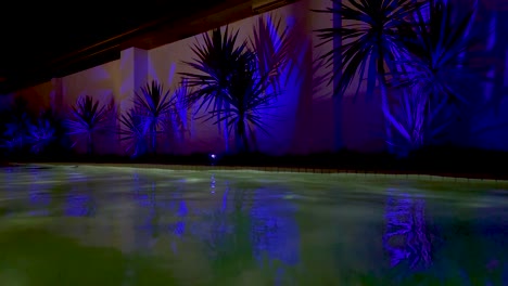 colorful lights reflecting on a tranquil pool