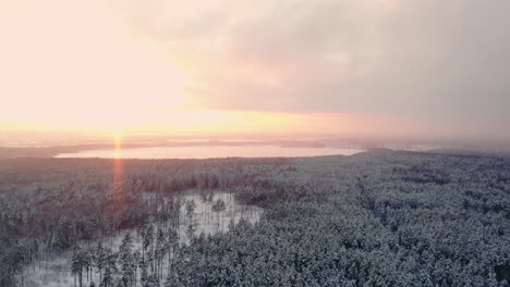 4k.-Vuelo-Sobre-El-Bosque-Invernal-En-El-Norte,-Vista-Aérea-Superior.