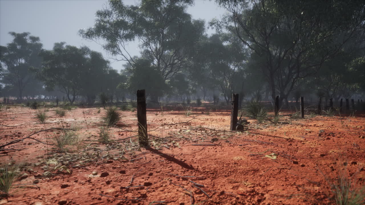 ⁇ 은 울타리 의 조각 과  ⁇ 은 가시 와이어