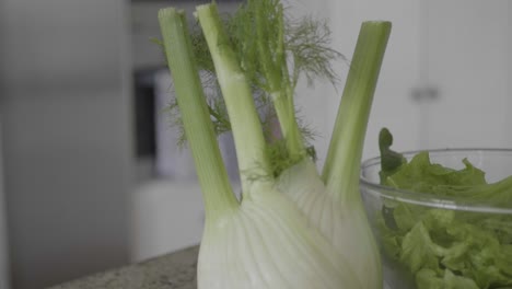 Closeup-and-tilt-down-revealing-a-fresh-fennel-in-a-kitchen-for-cooking