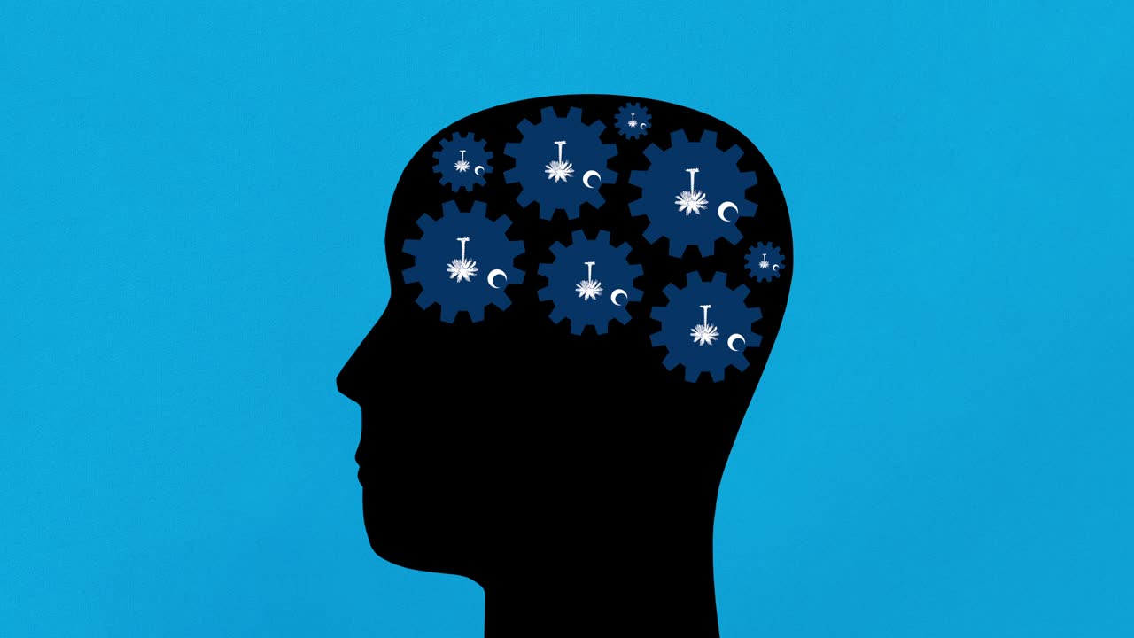 мысли о южной каролине