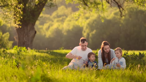 Family-of-4-two-children-and-parents-eat-ice-cream-in-the-summer-on-a-picnic.