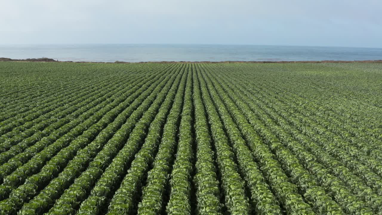 vista aérea de la granja frente a la costa de la autopista 1 en el norte de california