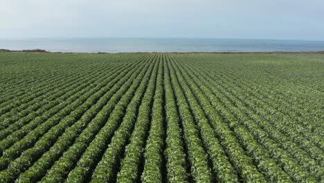 aerial view of farm off the coast off of high way 1 in northern california