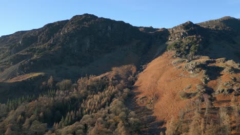 dark mountain and autumnal woodland in dawn light with camera ascent