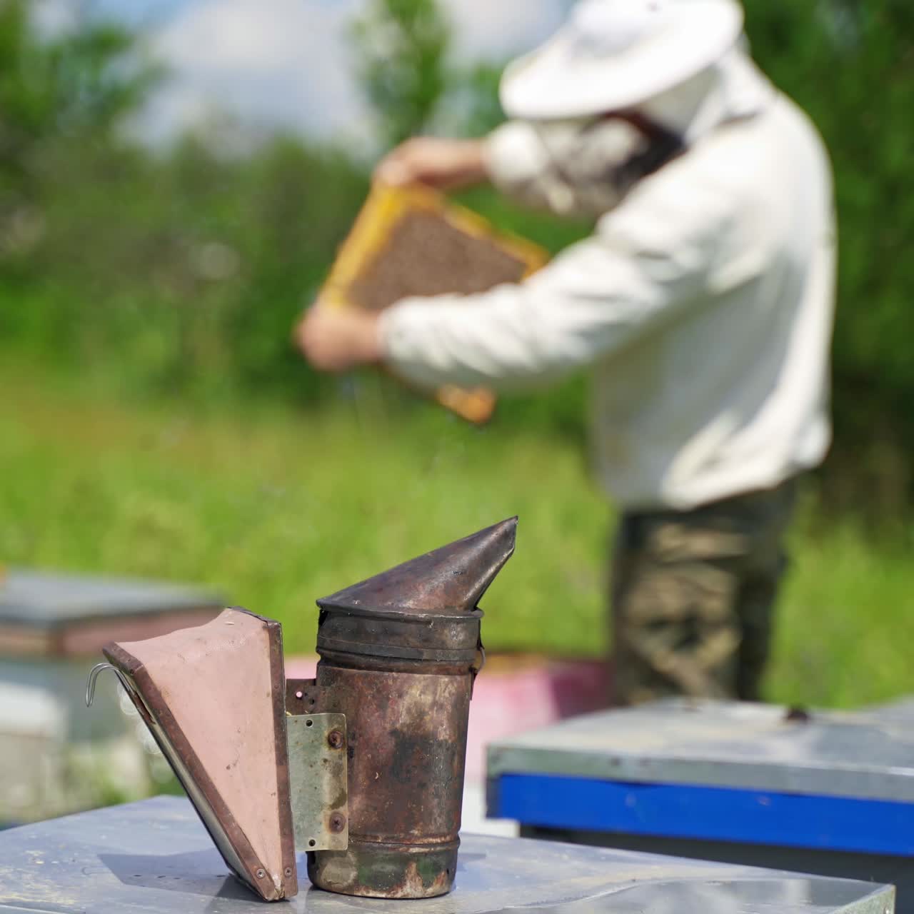 Apiary tool. Chimney on the background of beekeeper examining bees in summer. Bee smoker stands on a beehive.
