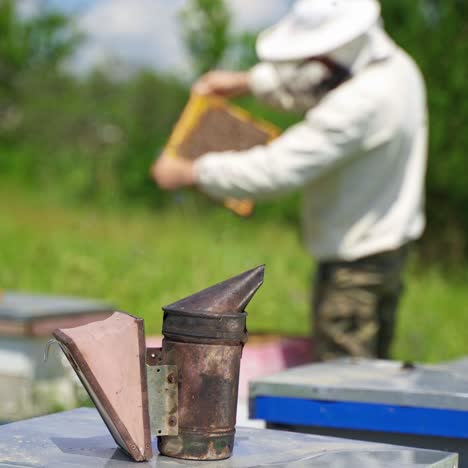 apiary tool. chimney on the background of beekeeper examining bees in summer. bee smoker stands on a beehive.
