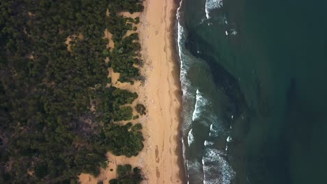 moving aerial view of the seashore and beach along monte argentario, near tuscany, italy as waves gently crash along the shoreline