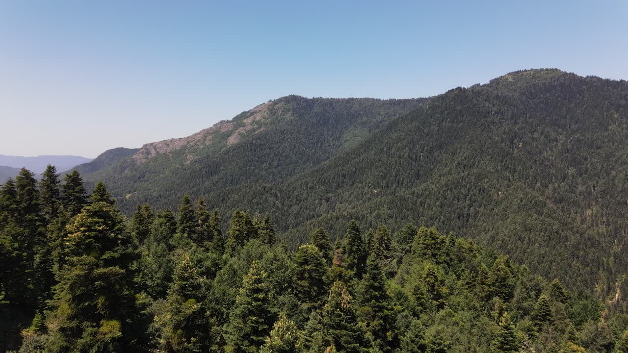 vista aérea del bosque de montaña