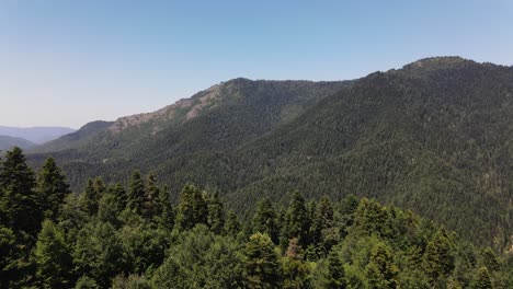 vista aérea del bosque de montaña