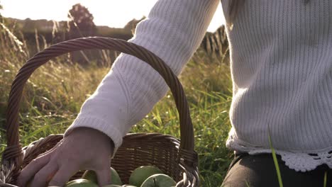 Frau-Mit-Korb-Voller-Reifer-Grüner-Äpfel,-Mittlere-Aufnahme-An-Einem-Sonnigen-Tag,-Mittlere-Aufnahme