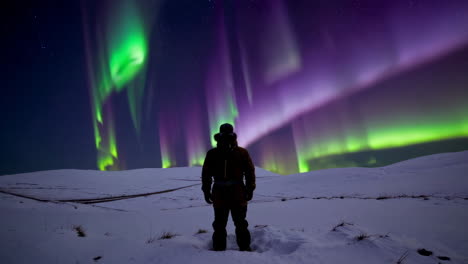 person viewing aurora borealis in snowy landscape