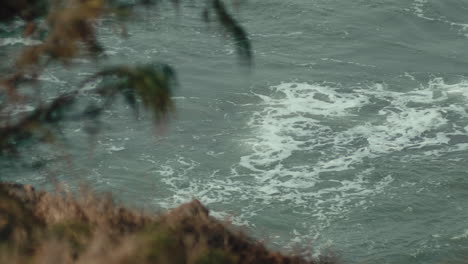 In-front-is-the-bush,-behind-is-the-sea