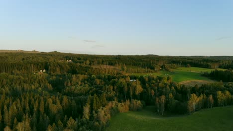 drone footage of green fields and forrest in sweden