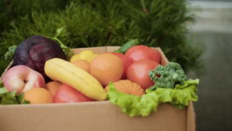 delivery box with vegetables