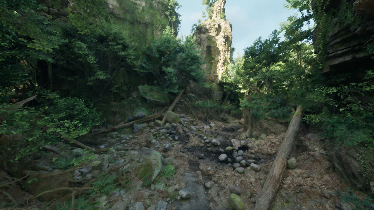 un camino de bosque exuberante