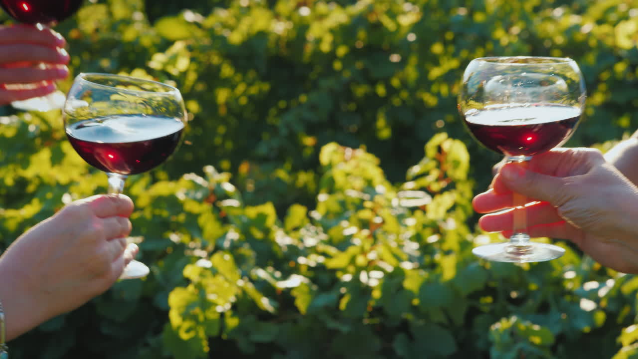 un grupo de amigos tintinean copas en una cata de vinos en el viñedo, solo las manos son visibles en el fra