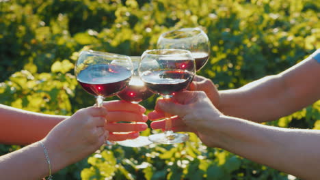 a group of friends clink glasses at a wine tasting in the vineyard only hands are visible in the fra