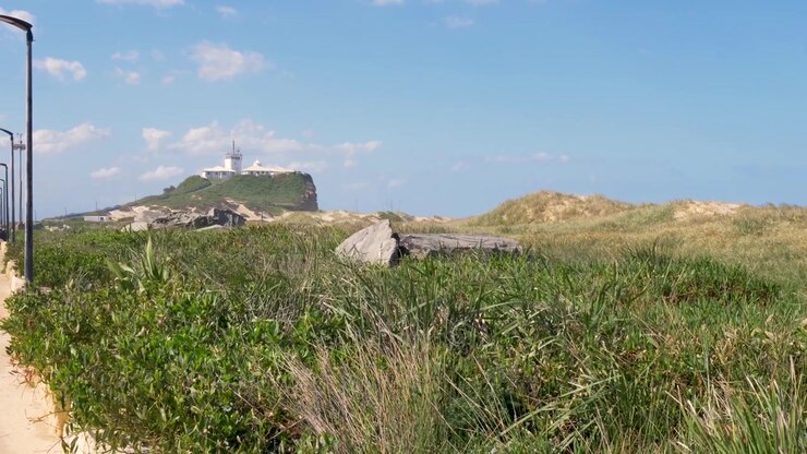 Paesaggio al rallentatore con vegetazione rigogliosa e massi rocciosi lungo le dune sabbiose di Nobbys Beach, con il faro simbolo sulla scogliera nella città di Newcastle, Australia, turismo e natura