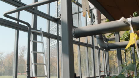 interior del invernadero