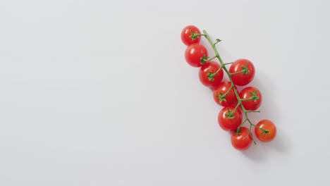 video de tomates cerezos frescos con espacio de copia en fondo blanco