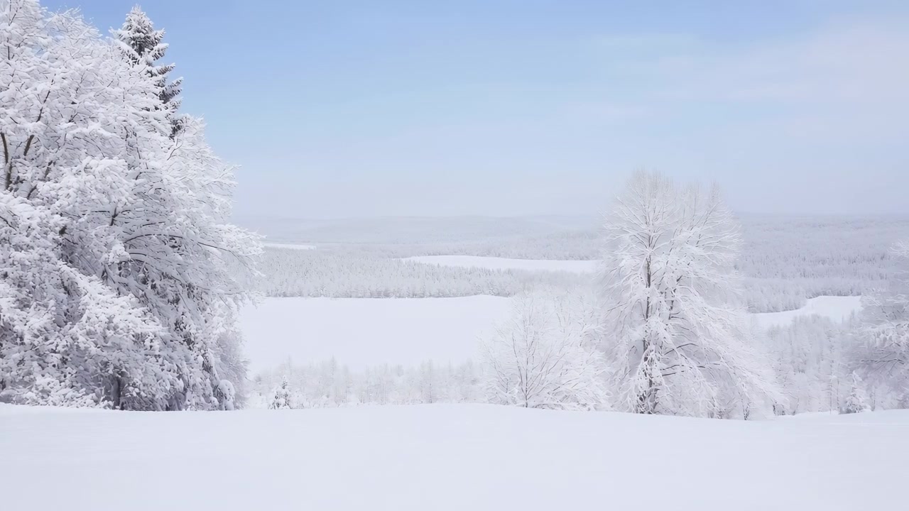 Lumipeitteiset puut talvimaisemassa, kiinteästä laajakulmakuvakulmasta kuvattuna, valkoisin ja sinisin korostuksin, luoden tyynen ja rauhallisen tunnelman, lähellä olevat kohteet.