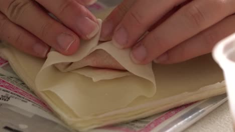 Making-spring-rolls,-rolling-up-the-ingredients