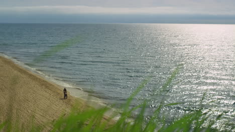 calm sea waves crash sand beach on nature landscape background. serenity concept