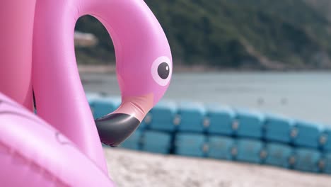 opblaasbare roze flamingo op een wazige achtergrond met water