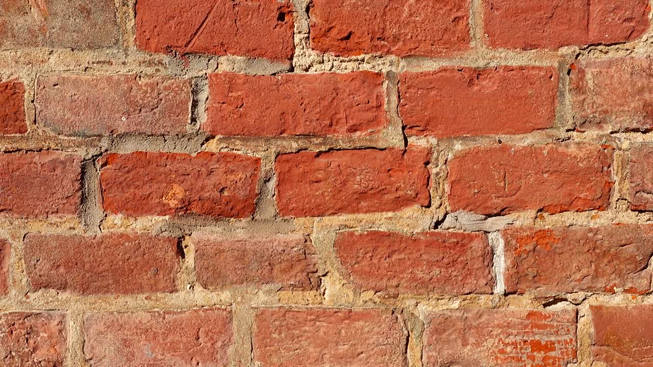 The wall is brick. Shooting background