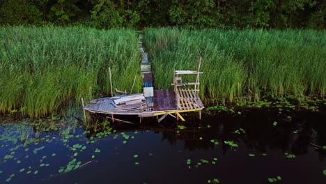 still water with lilypads reflects lush forest and rustic dock at twilight