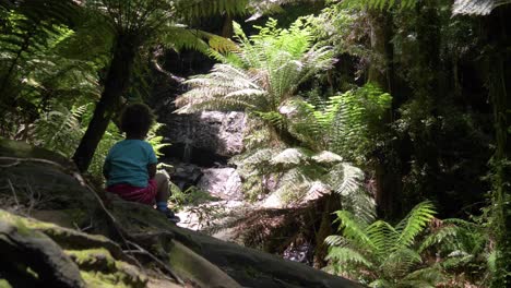 a wide shot of a young child looking in awe at a forest waterfall