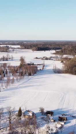 aerial vertical footage shows snowy landscape in krimulda, latvia during sunset. trees cast long shadows over quiet fields and country road, creating a serene winter evening atmosphere.
