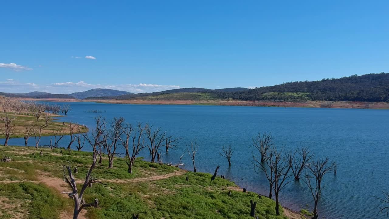se levantan detrás de los árboles muertos revelando el hermoso lago eucumbene