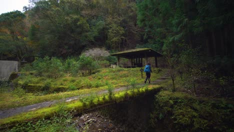 Pan,-female-walks-along-mossy-trail,-Kumano-Kodo-Japan