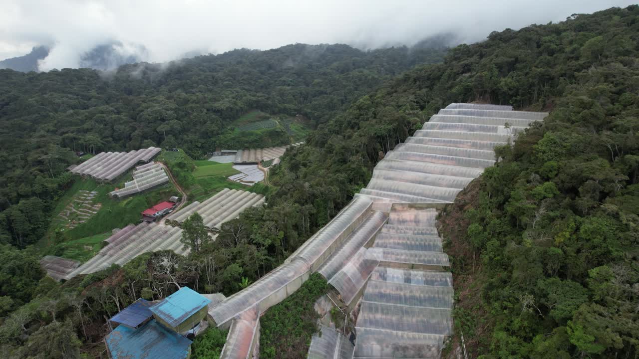 말레이시아의 카메론 하이랜드 지역 내의 브린창 지역의 일반 풍경