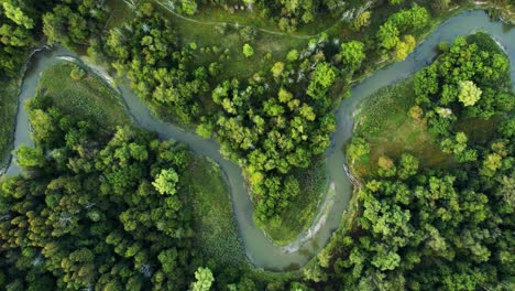 Meandering-River-cuts-through-Vibrant-Green-forest-landscape-View-from-Above,-Rouge-Park