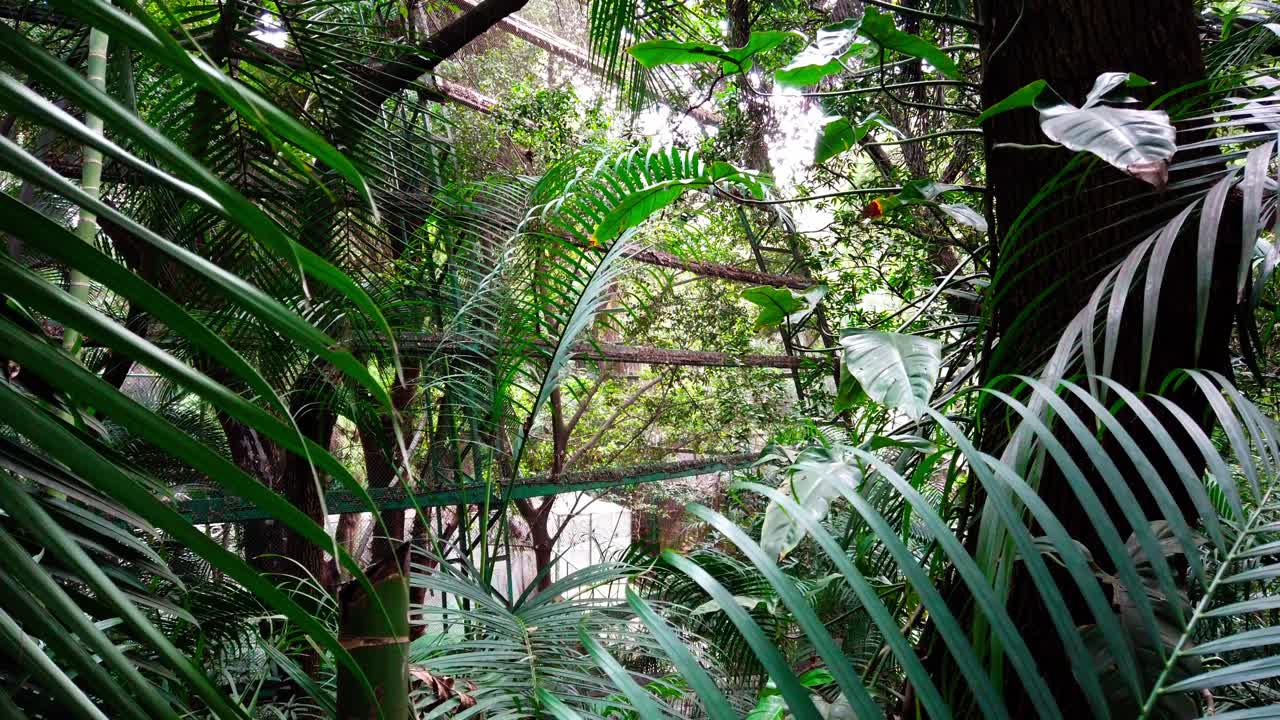 Pan right shot of walkway flanked by canal and lush vegetation in Cuernavaca, Mexico