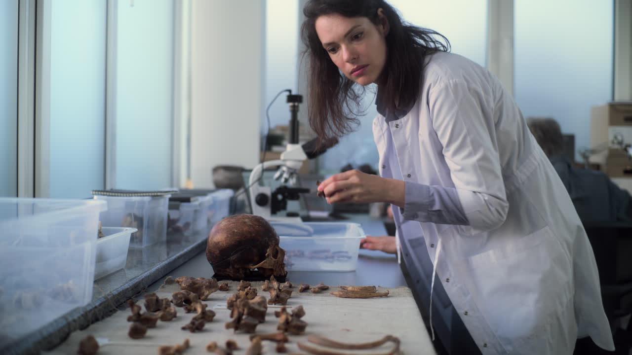 arqueólogo examinando restos humanos en un laboratorio